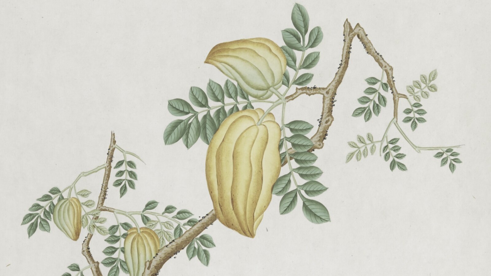 20.Dubbo和Zookeeper