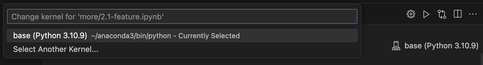 选择Python的解释器