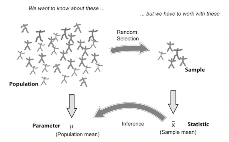 和样本平均数的关系