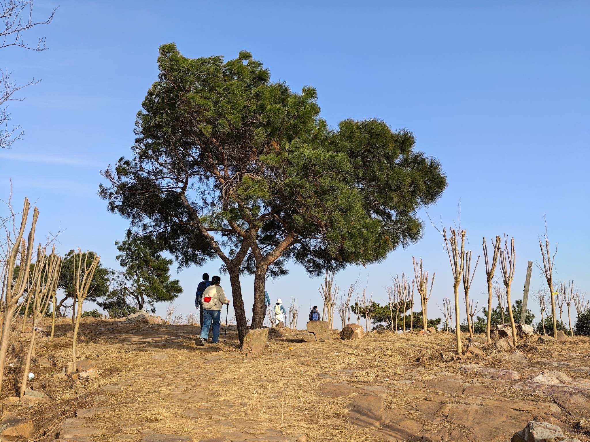 苏州东山莫厘峰-4