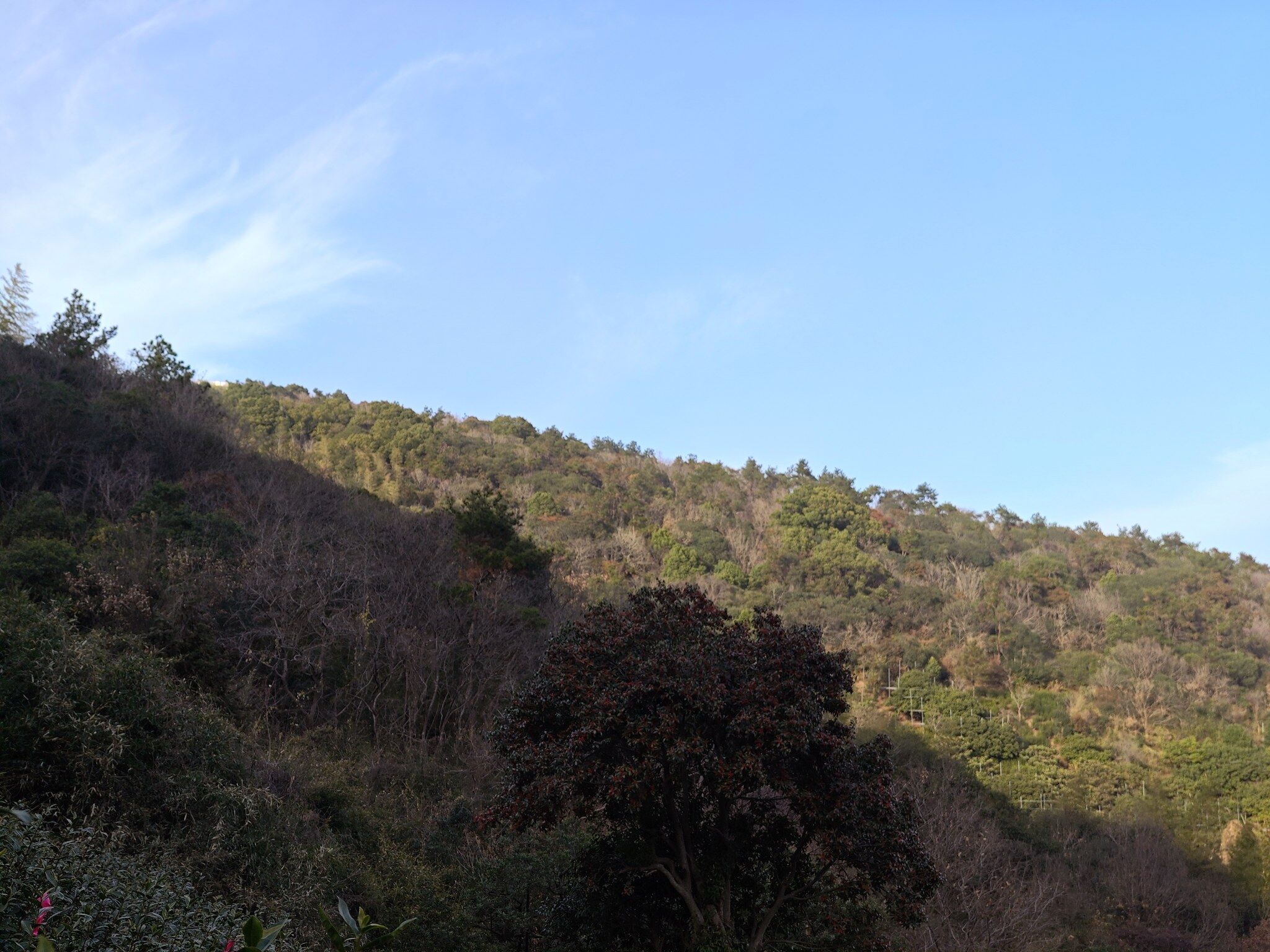 苏州东山莫厘峰-6