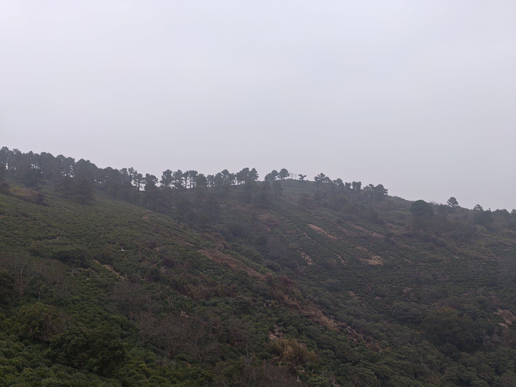苏州西山缥缈峰-2