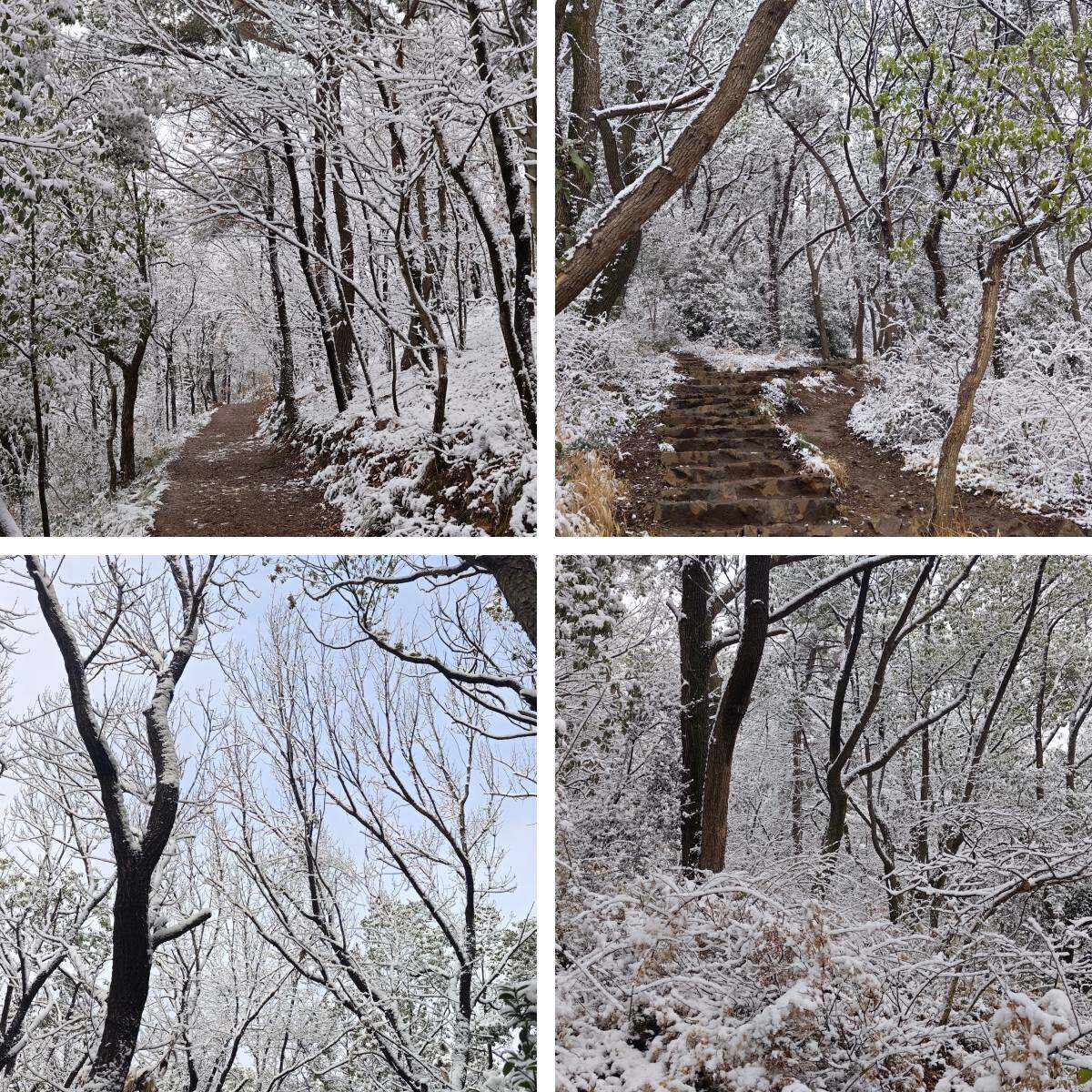无锡惠山-1