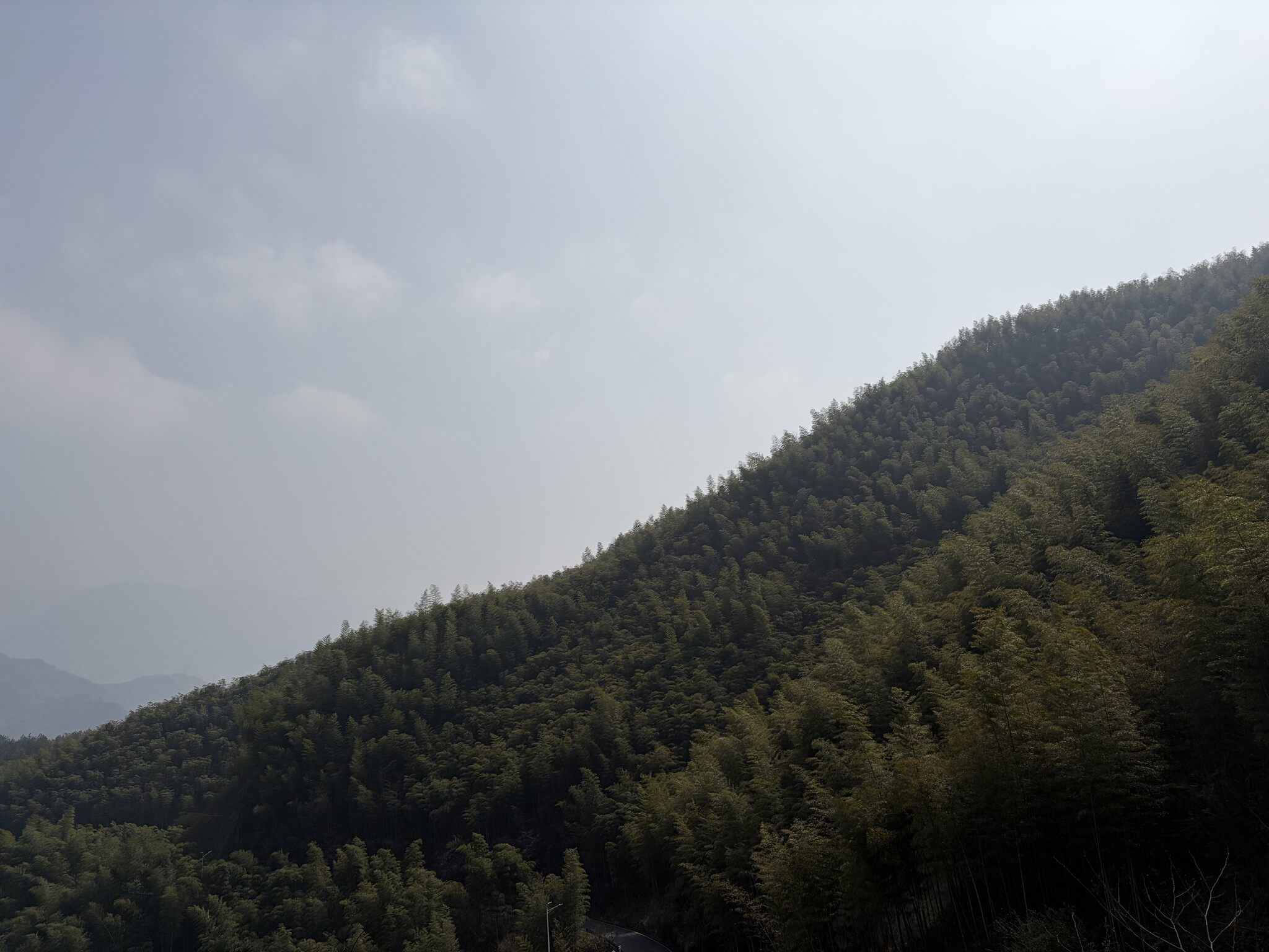安吉章里古道-2