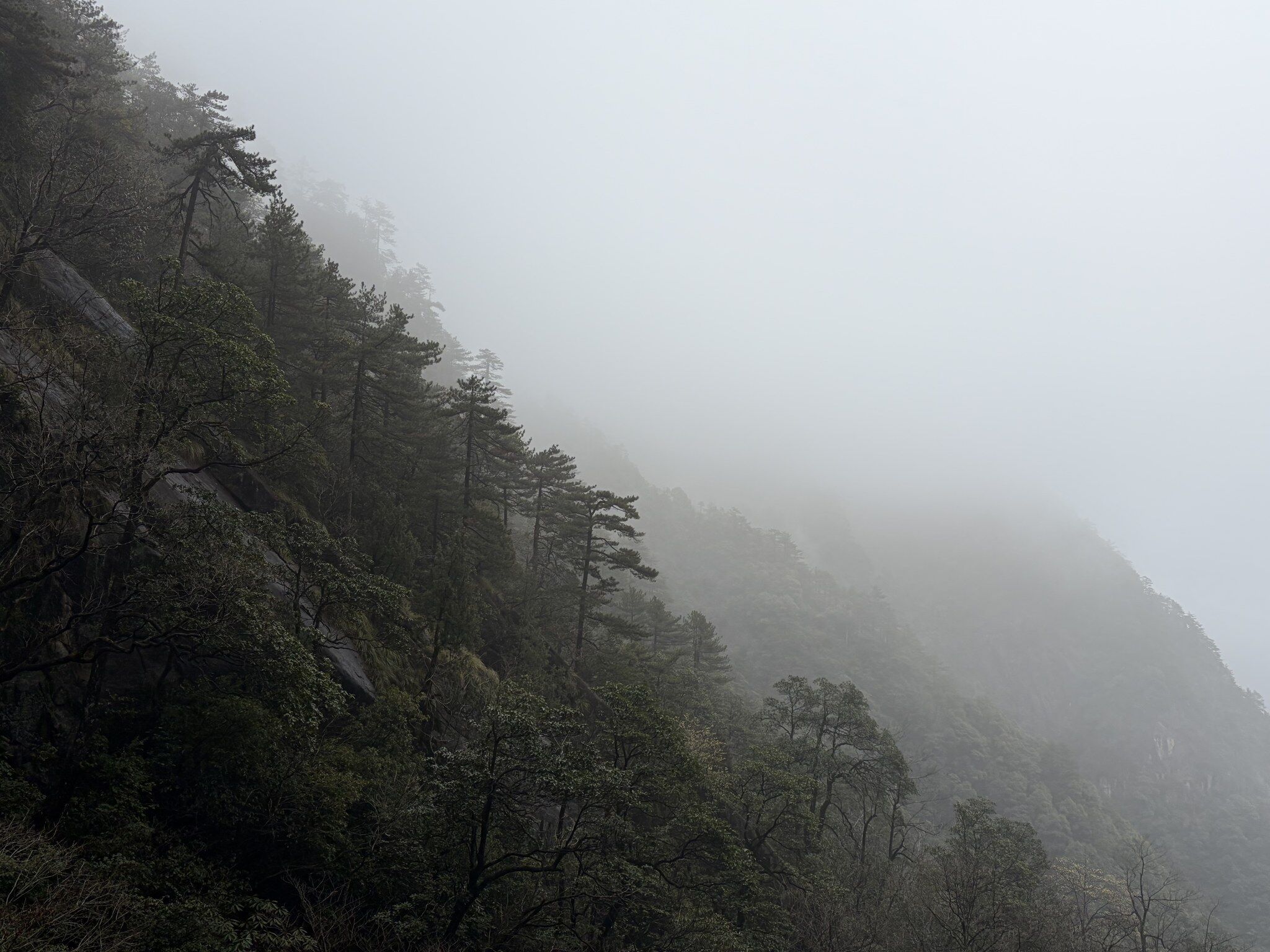 大明山-1