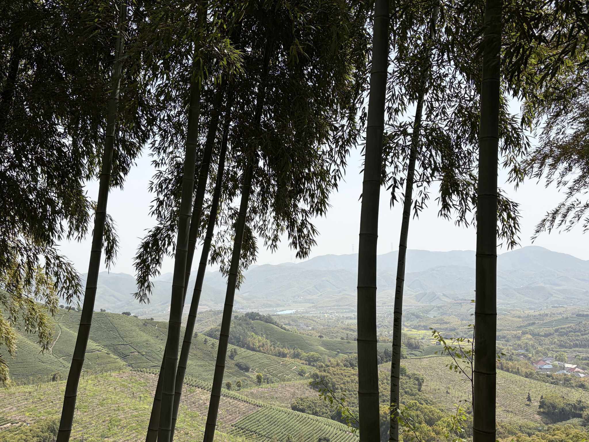 陆羽古道-1