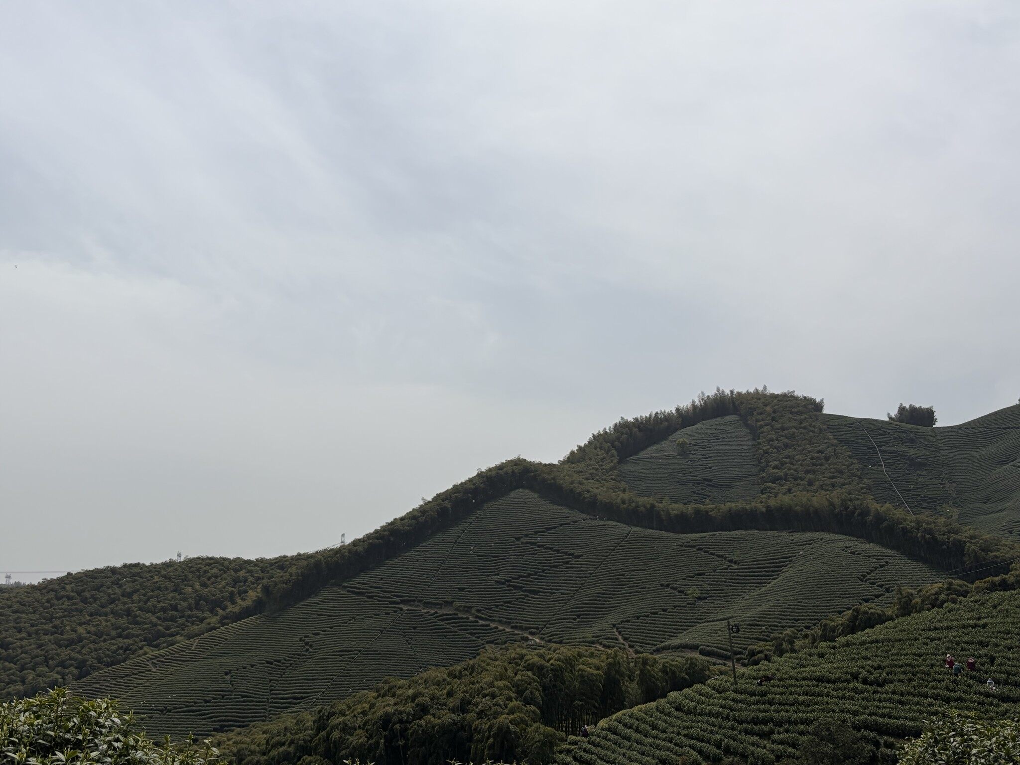 陆羽古道-4