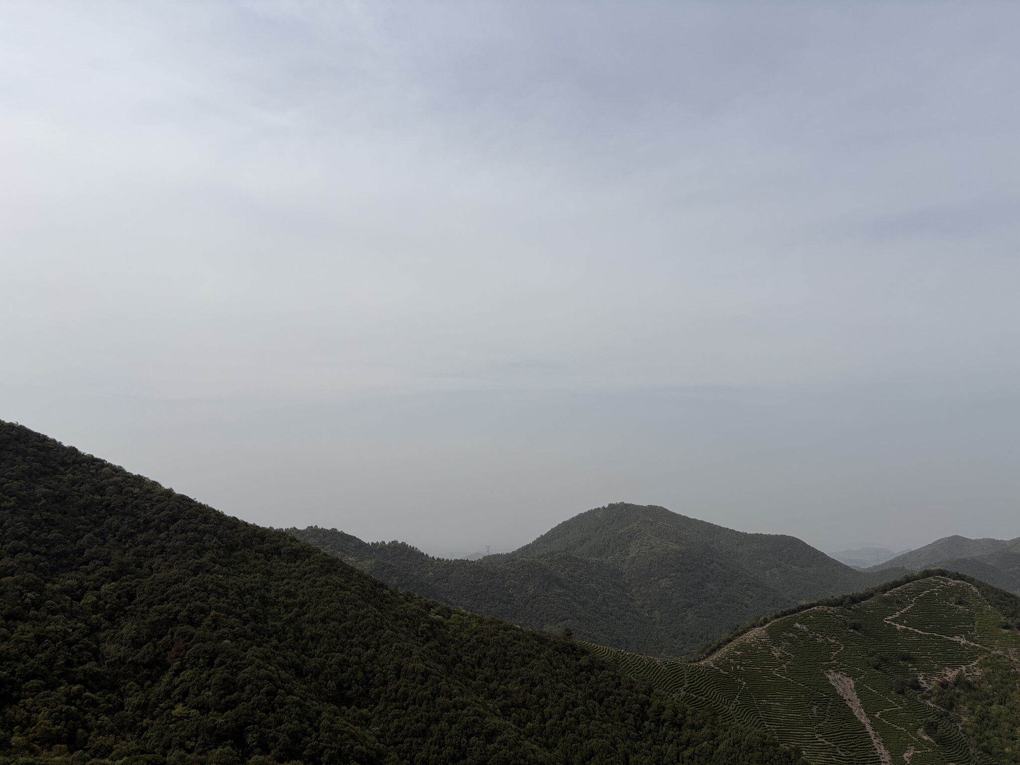 陆羽古道-6