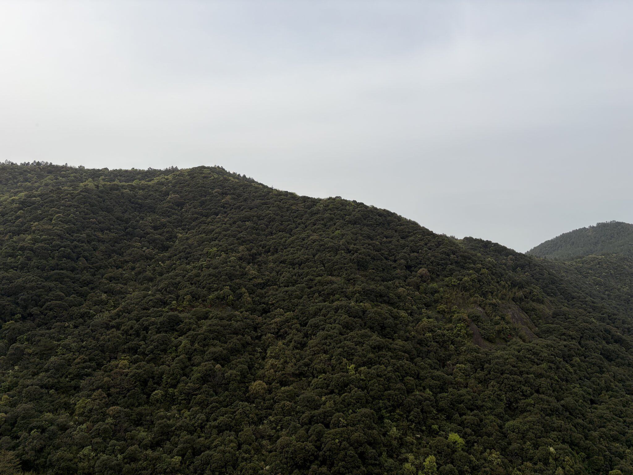 陆羽古道-7