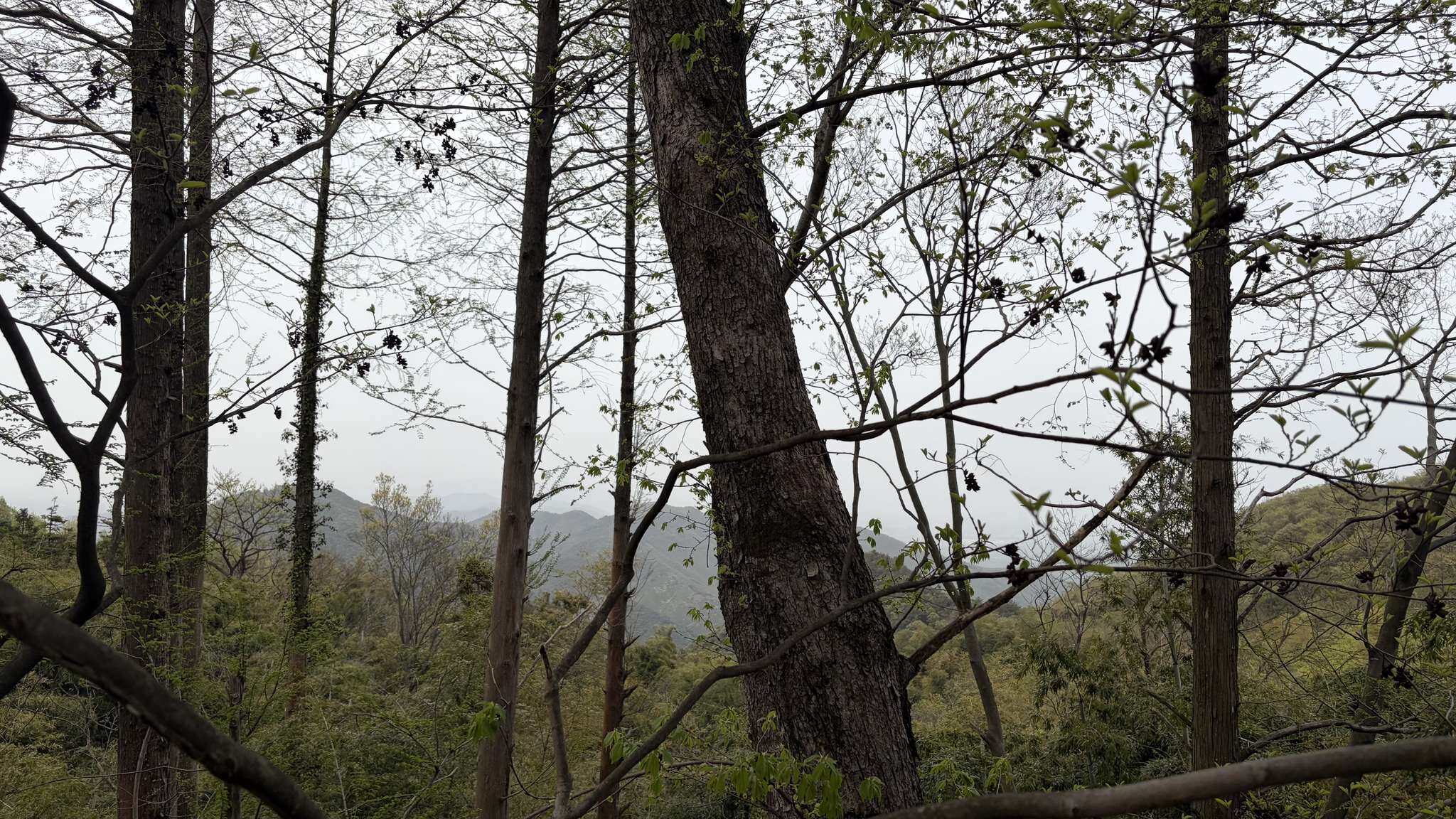 陆羽古道-8