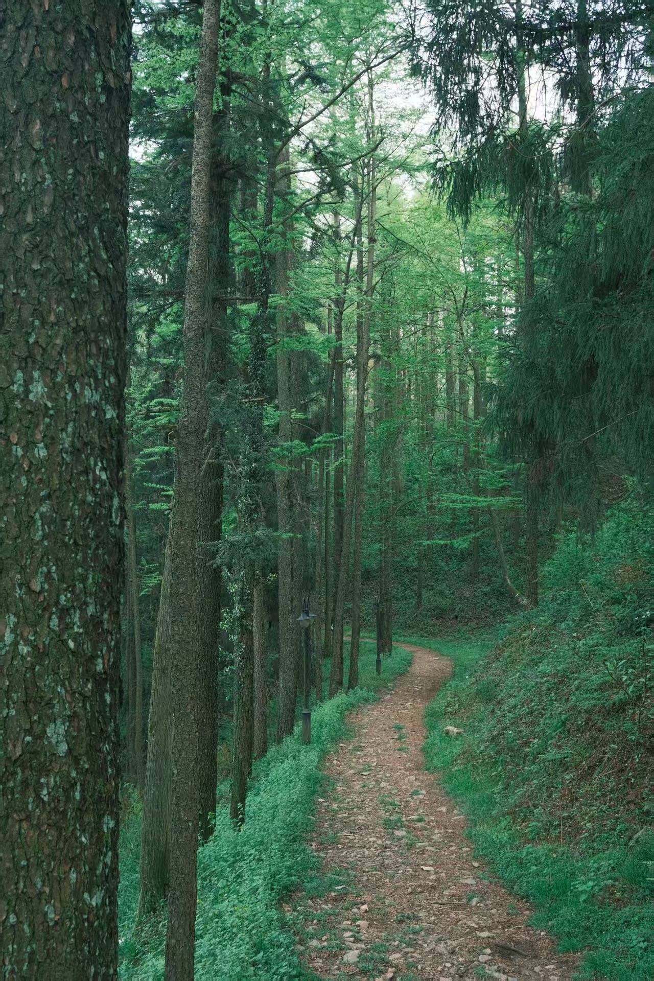 莫干山-2