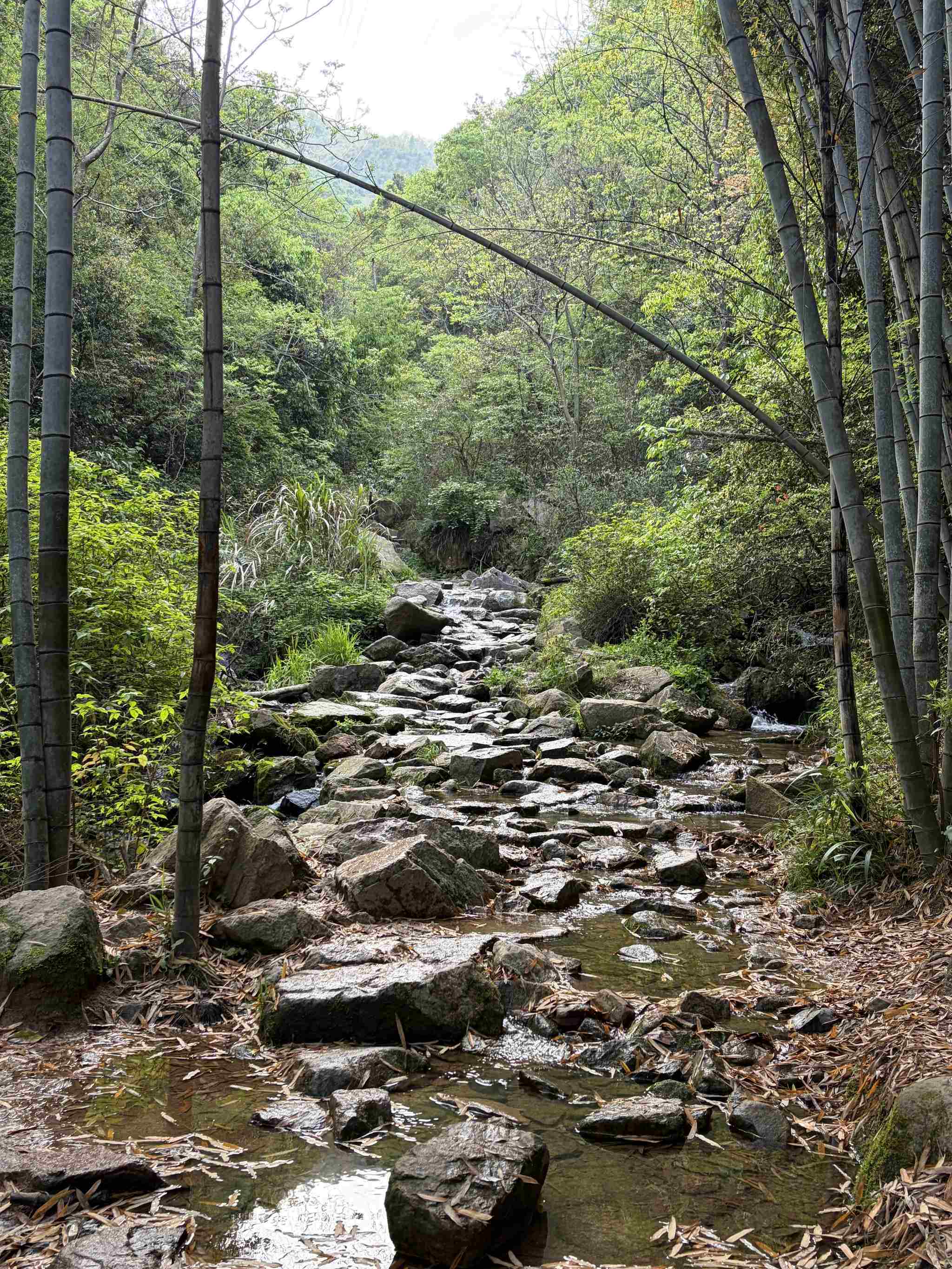 莫干山-9