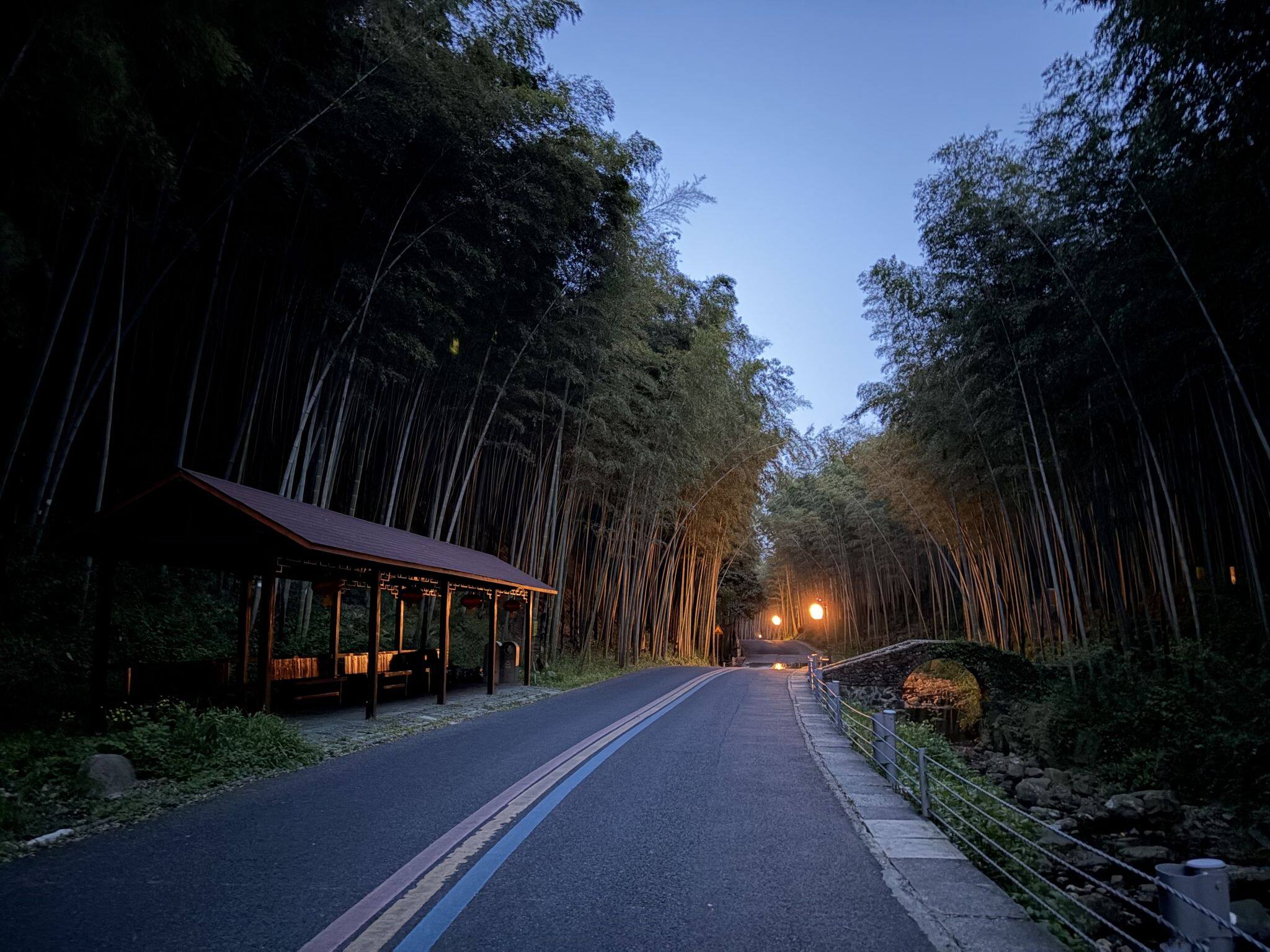 宜兴竹海-7